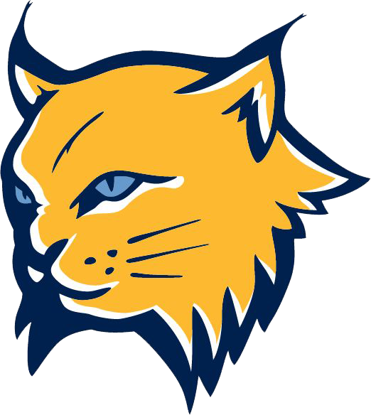 Lynx