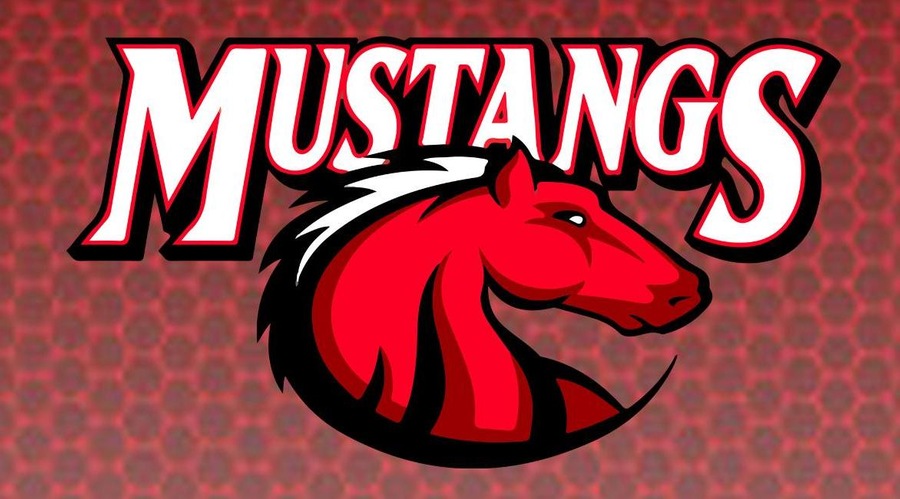 CMCC loses to defending champion NHTI in first volleyball competition