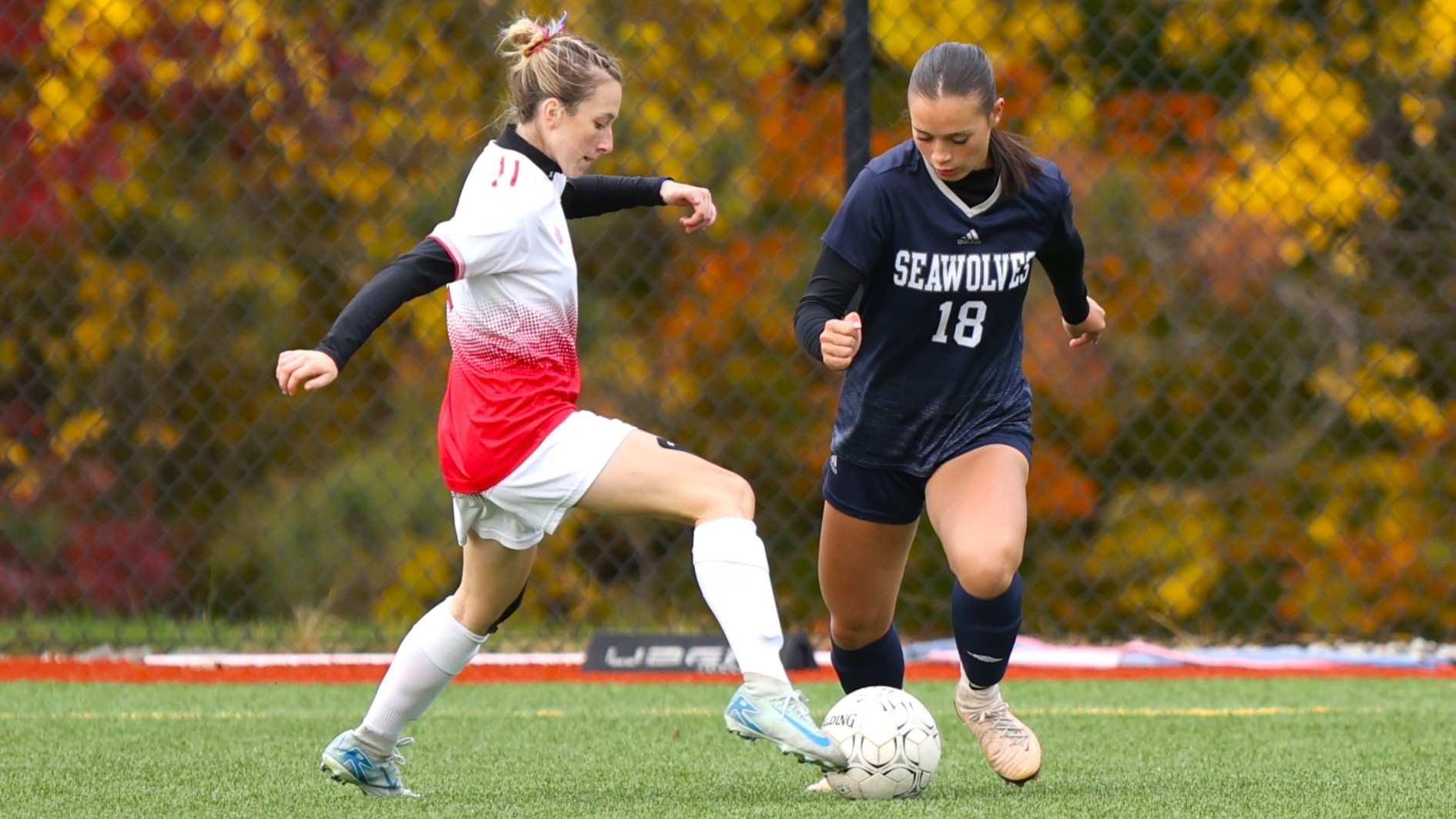 Mustangs Fall Flat in Quarterfinal Loss to Seawolves
